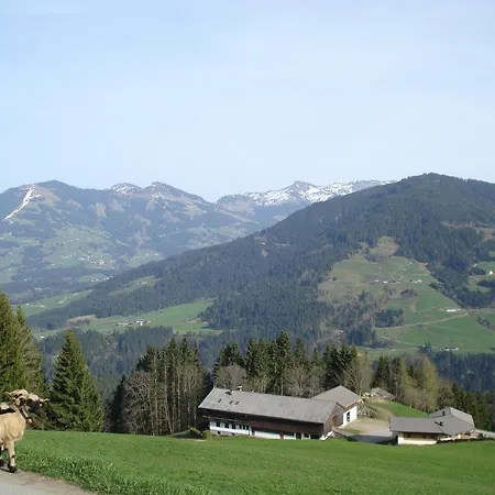 Biobauernhof Fleckl 布里克森谷地霍普夫加尔滕