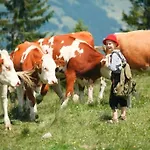 Biobauernhof Fleckl 호프가르텐 임 브릭젠탈